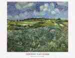 Vincent Van Gogh art print