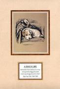 Mac Lucy Dawson art print