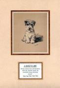 Mac Lucy Dawson art print
