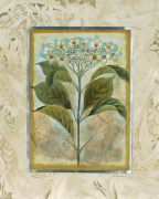 Joseph Augustine Grassia art print