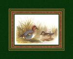 Henry Jones art print