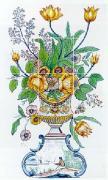 Jane McClean art print