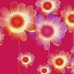 Kate Knight art print