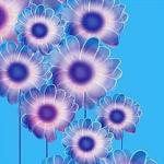 Kate Knight art print