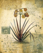 Joseph Augustine Grassia art print