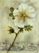 Dennis Carney art print