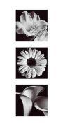 Bill Philip art print