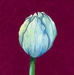Kate Mawdsley art print