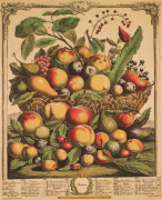 Robert Furber art print