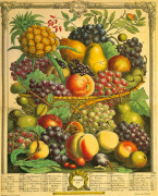 Robert Furber art print