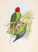 William Hart art print