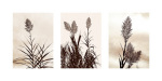 Jon Hart Gardey art print