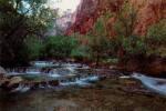 Harold Davis art print