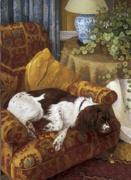 Diana Calvert art print