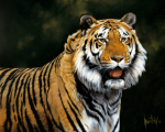 Spencer Hodge art print