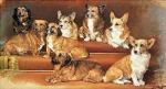 Susan Crawford art print