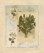 Dennis Carney art print