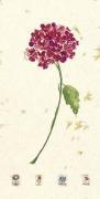 Jenny Tsang art print
