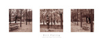Bill Philip art print