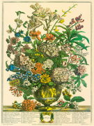 Robert Furber art print