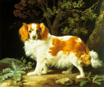 George Stubbs art print