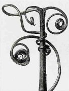 Karl Blossfeldt art print