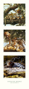 Spencer Hodge art print