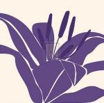 Emily Burrowes art print