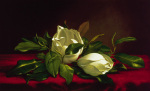 Martin Johnson Heade art print