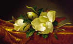 Martin Johnson Heade art print