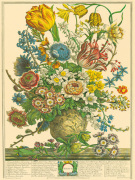 Robert Furber art print