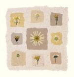 Julie Lavender art print
