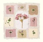 Julie Lavender art print