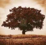 Bill Philip art print