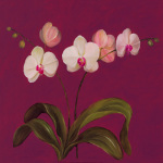 Mimi Roberts art print