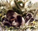 Wolfgang Weber art print