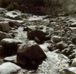 Ansel Adams art print