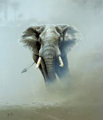 Spencer Hodge art print
