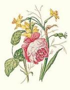 Lina Meyer art print