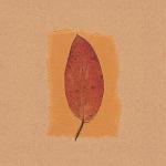 Julie Lavender art print