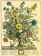 Robert Furber art print