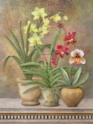 Jan Sacca art print