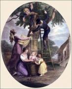 William Hamilton art print