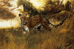 Spencer Hodge art print
