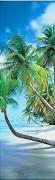 Peter Adams art print