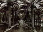 Ansel Adams art print