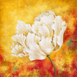 Sophia Sanchez art print