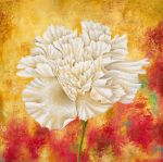 Sophia Sanchez art print