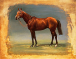 Susan Crawford art print