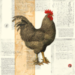 Pierre Lapin art print